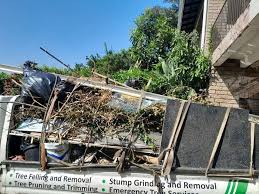 Best Dumpster Rental Services  in Nashotah, WI